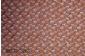 MKN37-3265.jpg