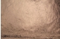 MBO24-2825.jpg