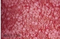 MBO25-2798.jpg