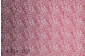 MNE14-3237.jpg