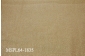 MSPL64-1835.jpg