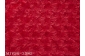 MJV20-3582.jpg
